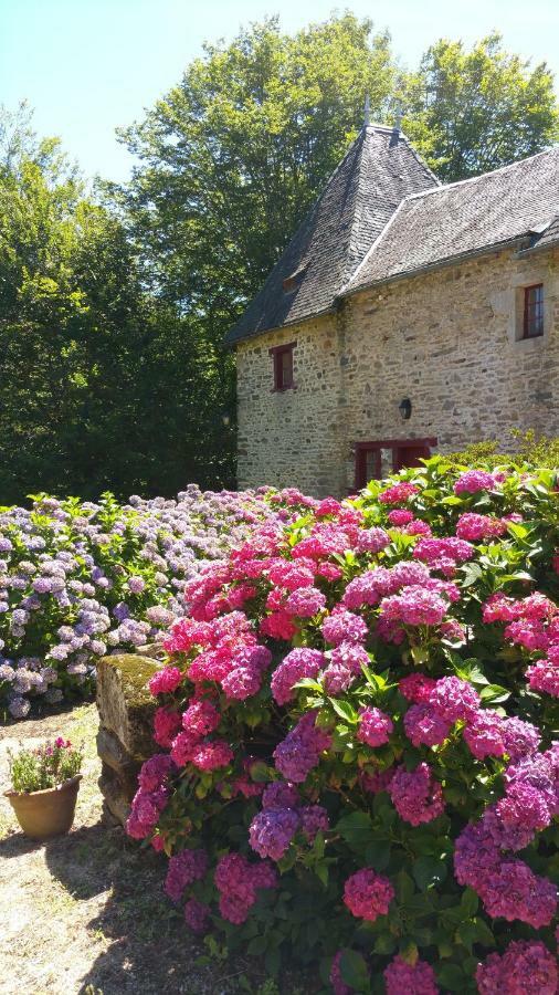 Chateau De Bellefond Lagraulière Exteriör bild