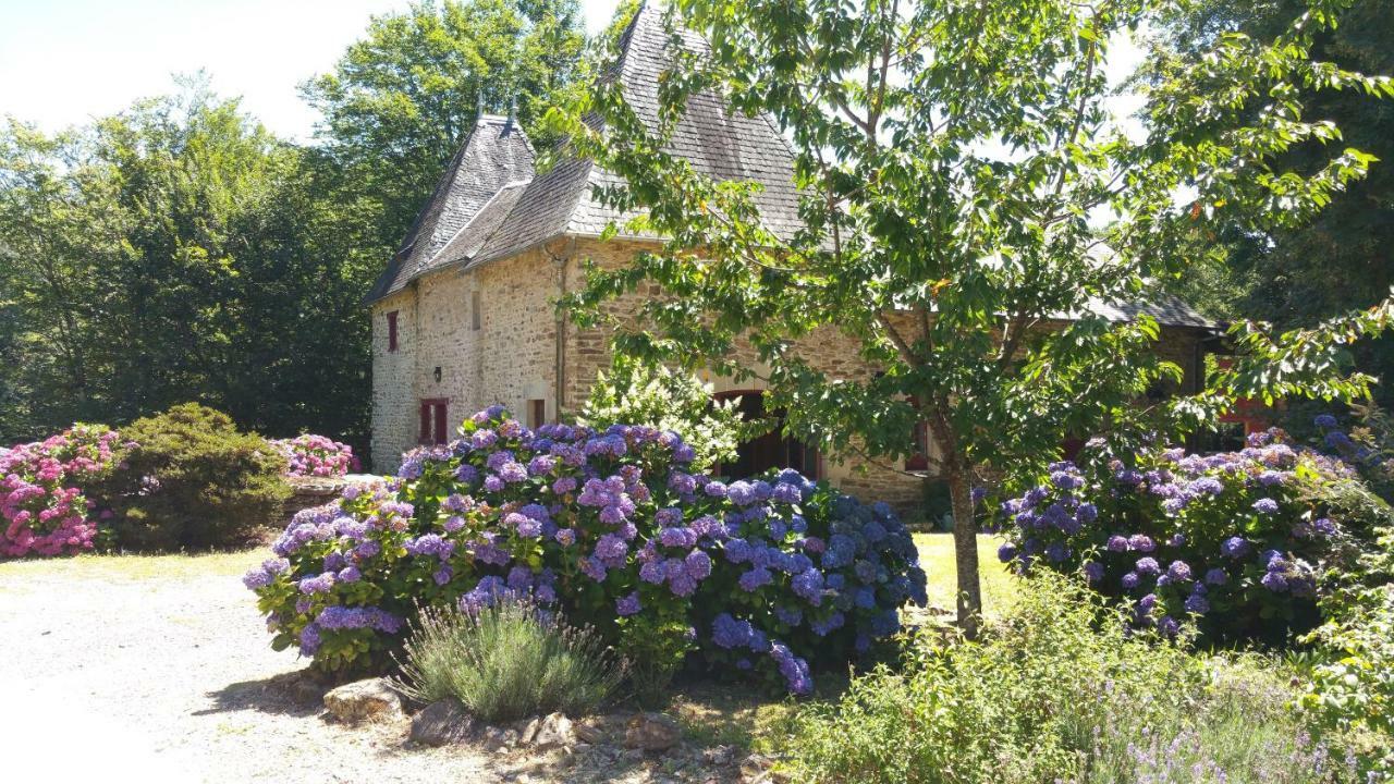 Chateau De Bellefond Lagraulière Exteriör bild